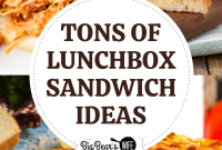 35 Creative Lunchbox Sandwich Ideas Kids and Adults Will Love