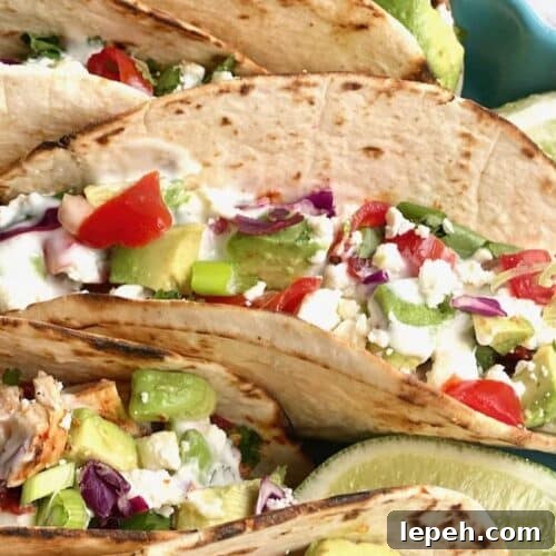 A plate of chicken tacos with cheese and tomato.
