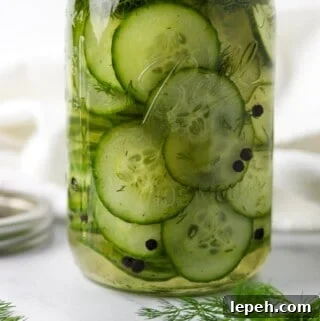 Quick Swedish Pickled Cucumbers in a jar next to peppercorns and fresh dill sprigs.
