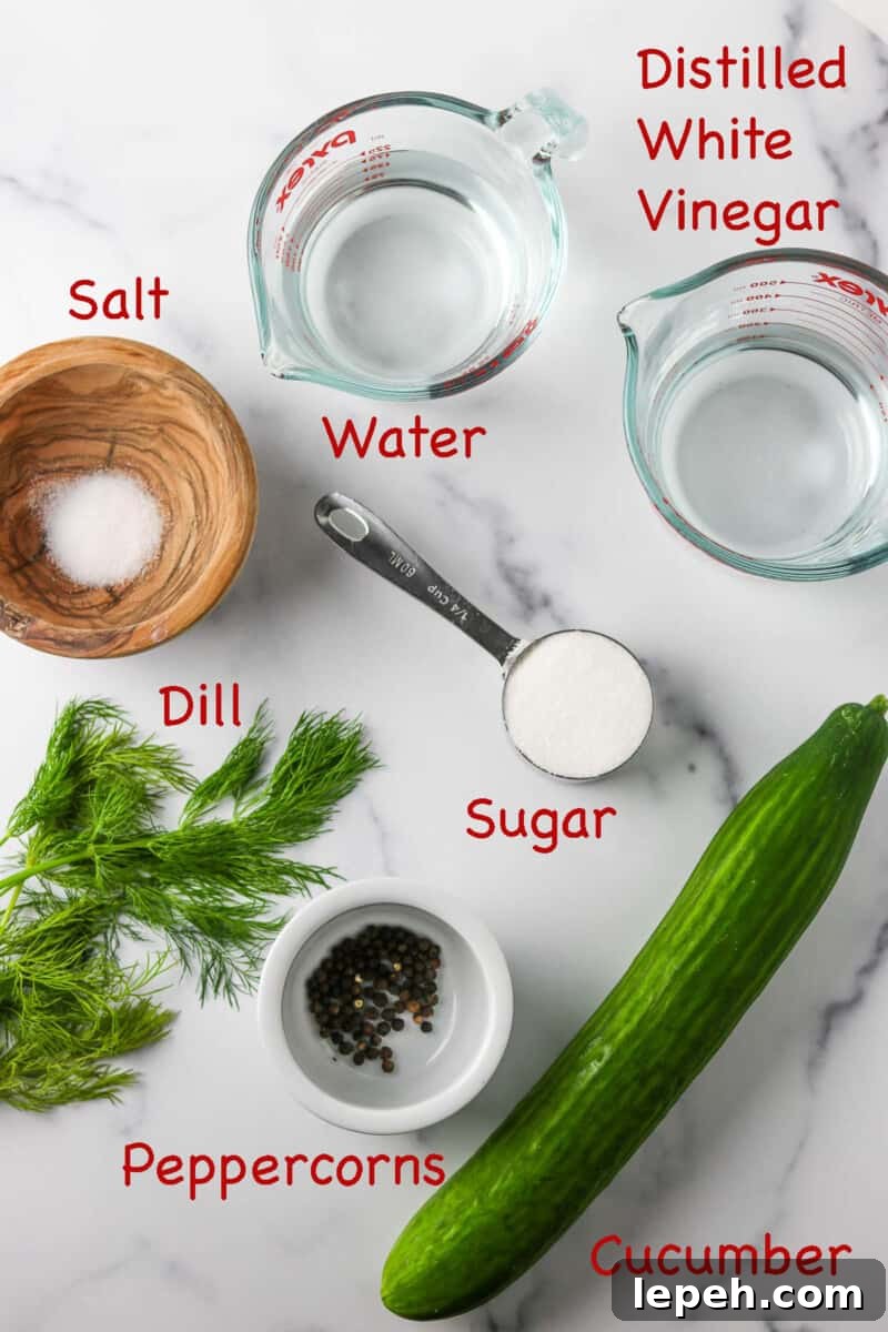 Labeled ingredients for Quick Swedish Pickled Cucumbers