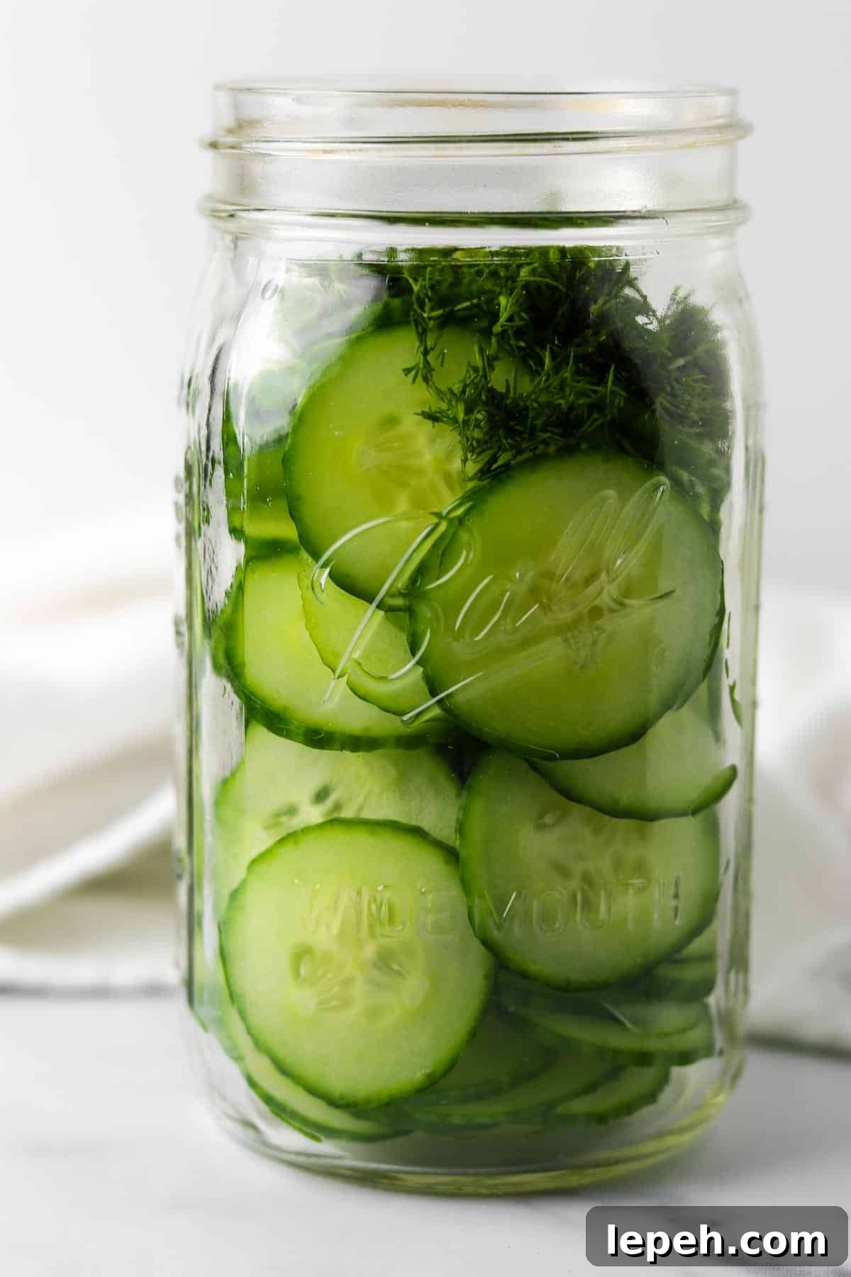 Sliced cucumbers and chopped dill in a jar.
