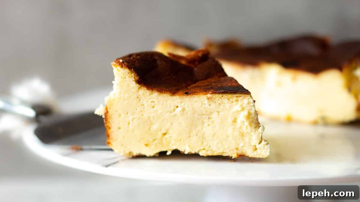 mini burnt cheesecake slice