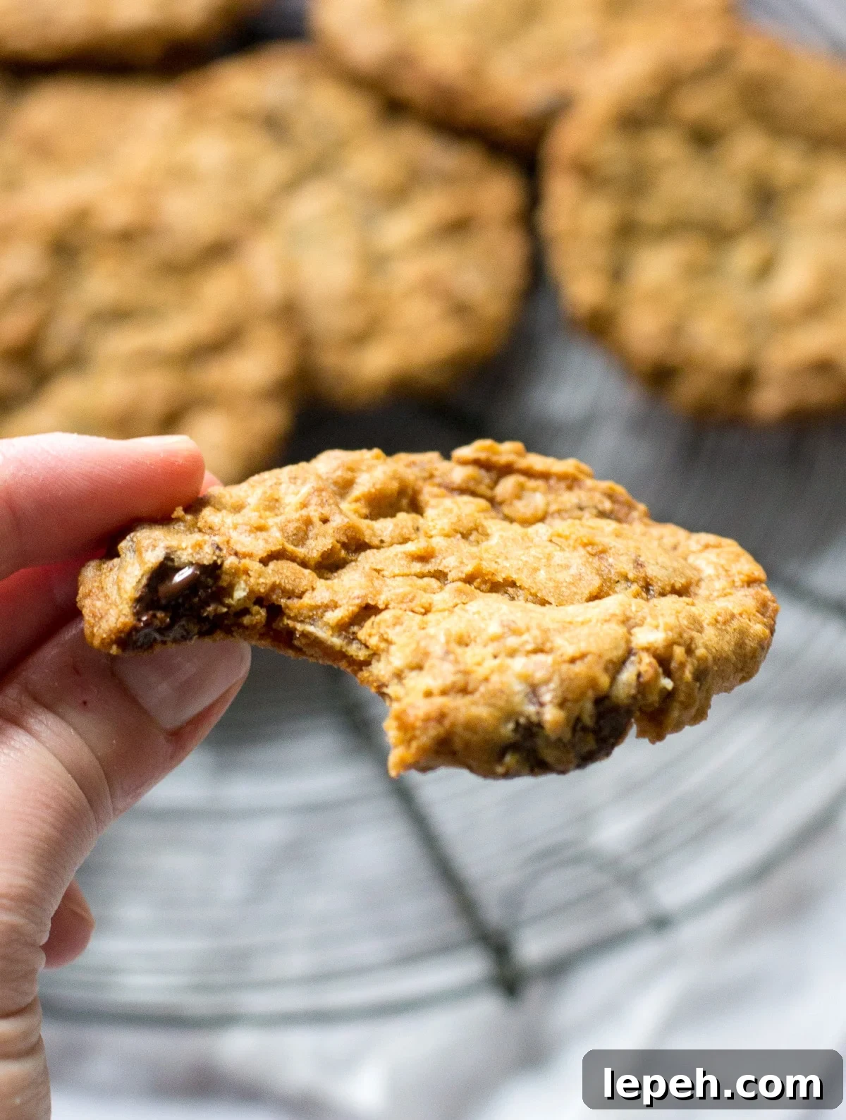 Vegan Chocolate Chip Cookie Recipe