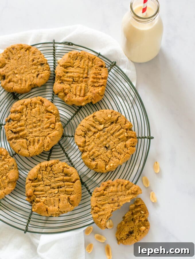 Vegan Peanut Butter Cookies