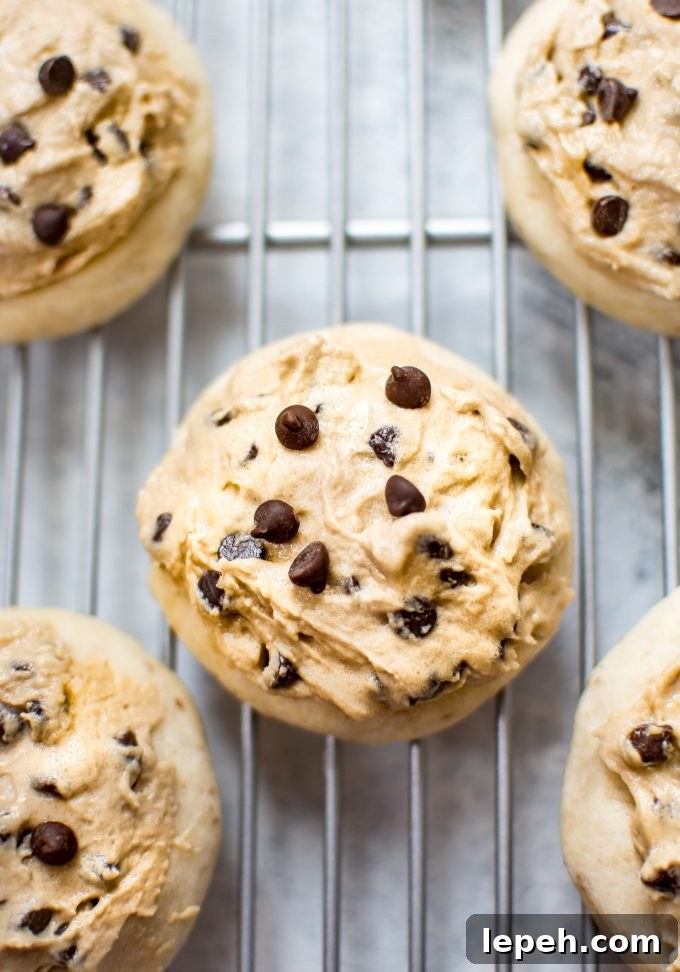 vegan chocolate chip cookie with vegan frosting on a wire rack close-up