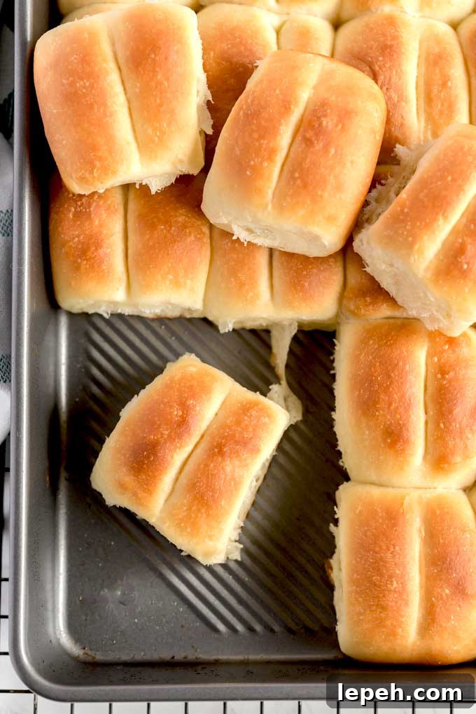 Top view of soft Parker House rolls on a baking pan