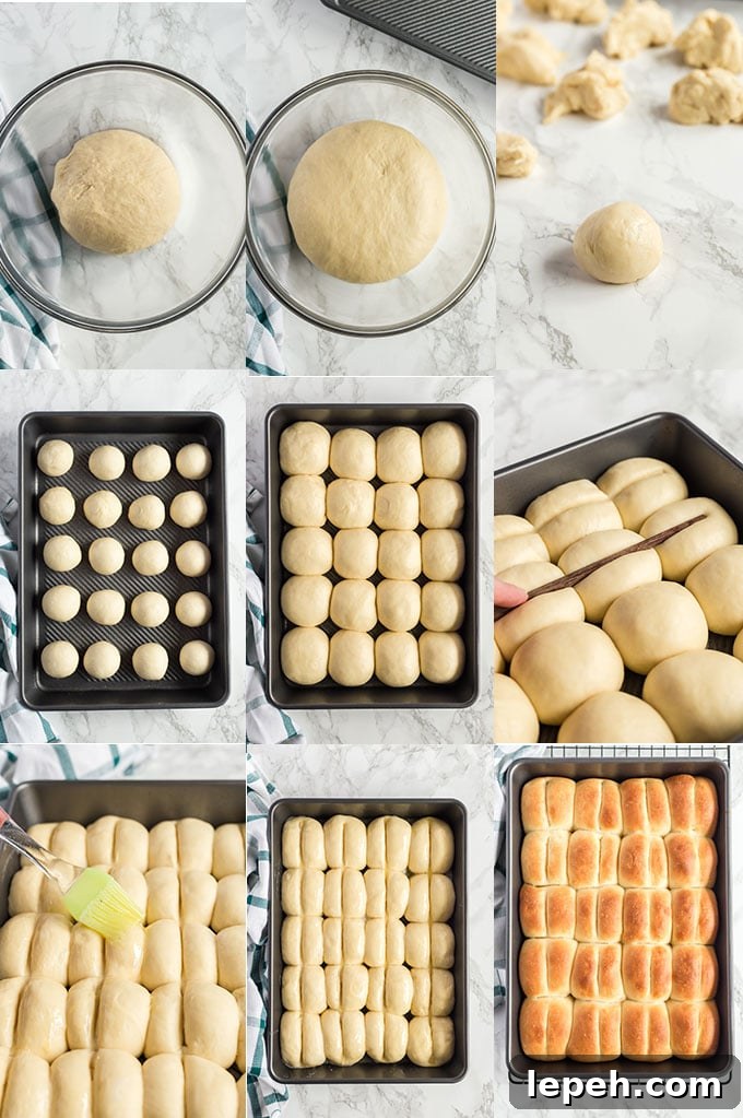 How To Make Yeast Bread Rolls Step By Step Photos.