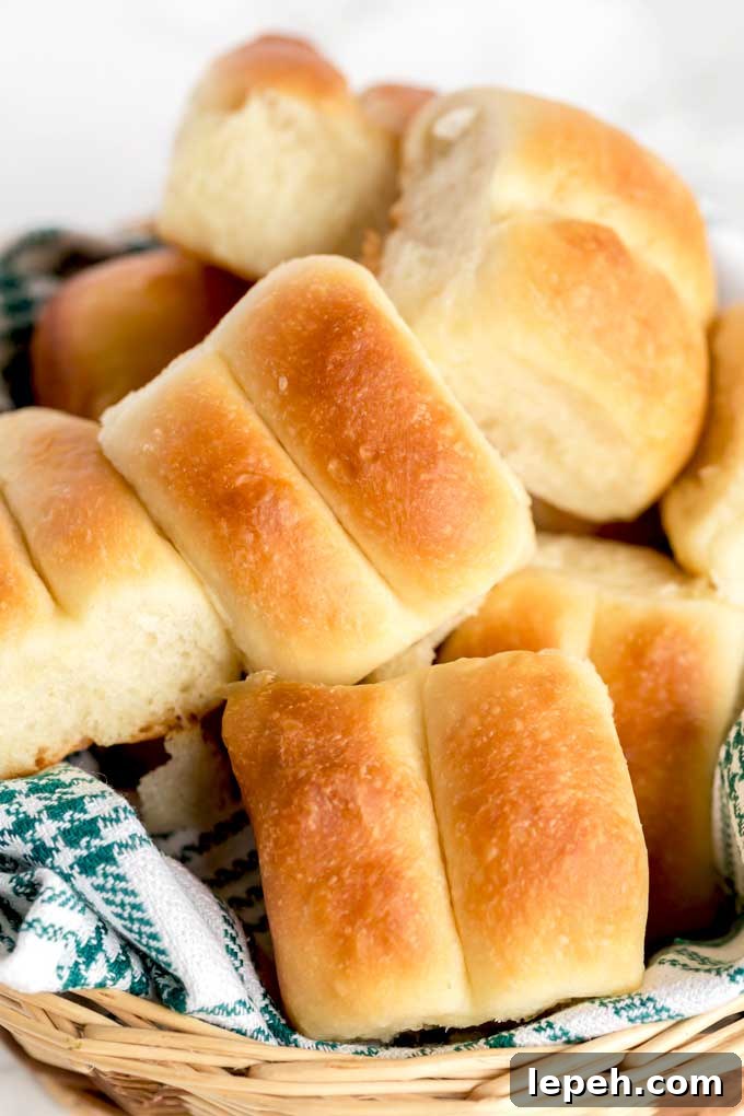Bread rolls in a bread basket.