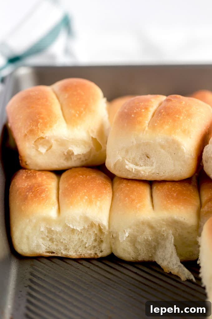 Homemade bread in a baking pan.