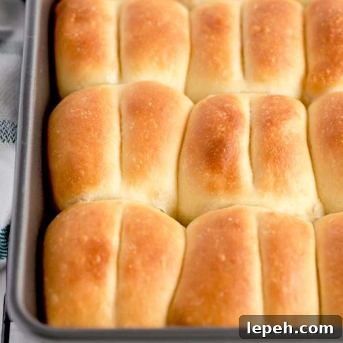 View of a baking dish filled with Parker House Rolls