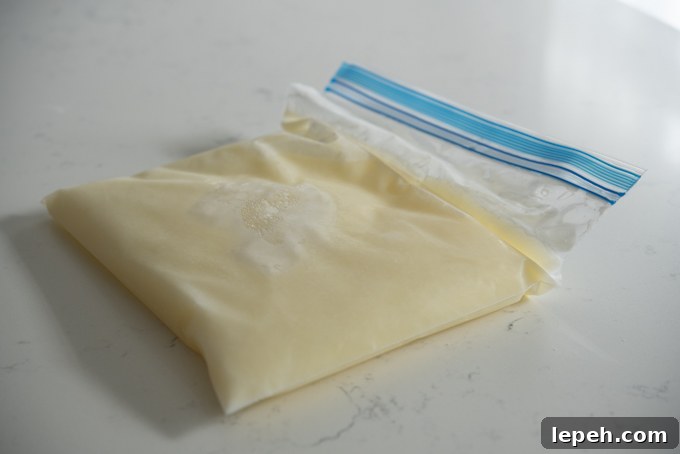 A plastic zip bag filled with frozen milk.