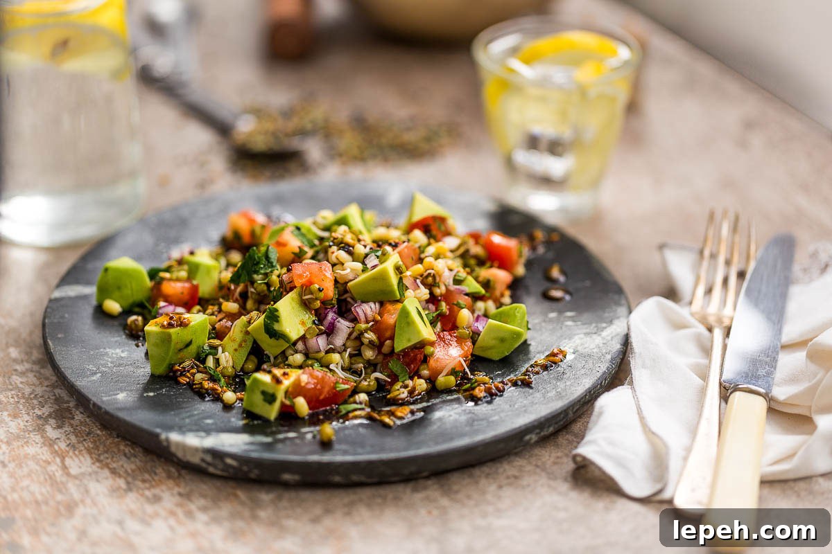 Here's a spicy, zingy Indian style sprouted bean salad which has been my default lunch option for a few weeks, because it ticks all my boxes for a great lunch. It's simple to make (once you've got the sprouts), it's ridiculously tasty with the combination of seeds, spices, lemon and chilli, plus it's got a big tick next to all the major nutrients we need. All this alongside it being completely vegan, it really couldn't be more versatile and all satisfying.