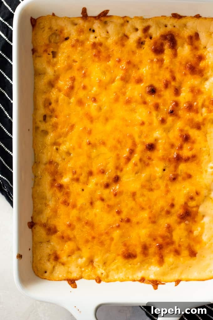 Baking dish filled with baked macaroni and cheese, showing browned bits of cheese on the top layer.