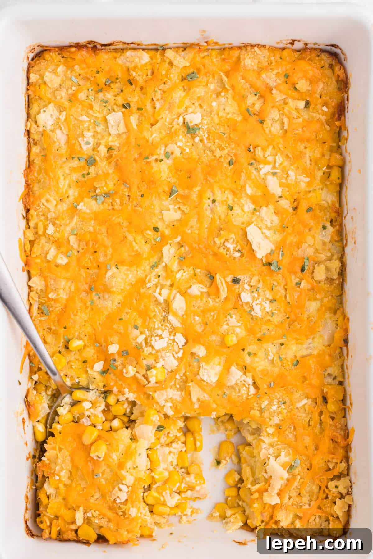 The recipe in a pan with a serving spoon.