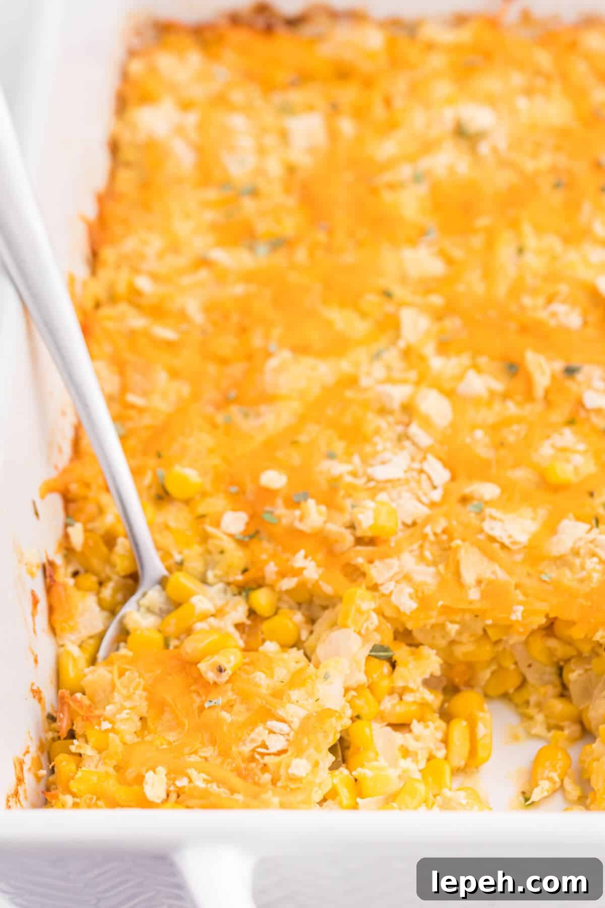 The recipe in a pan with a serving spoon.