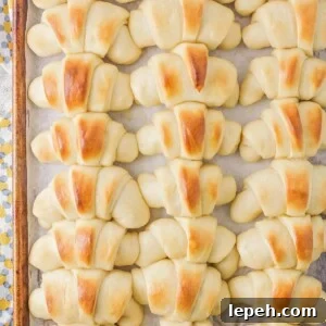 Homemade dinner rolls
