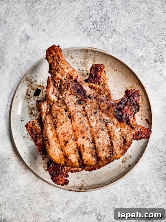 Grilled Pork Chops Recipe