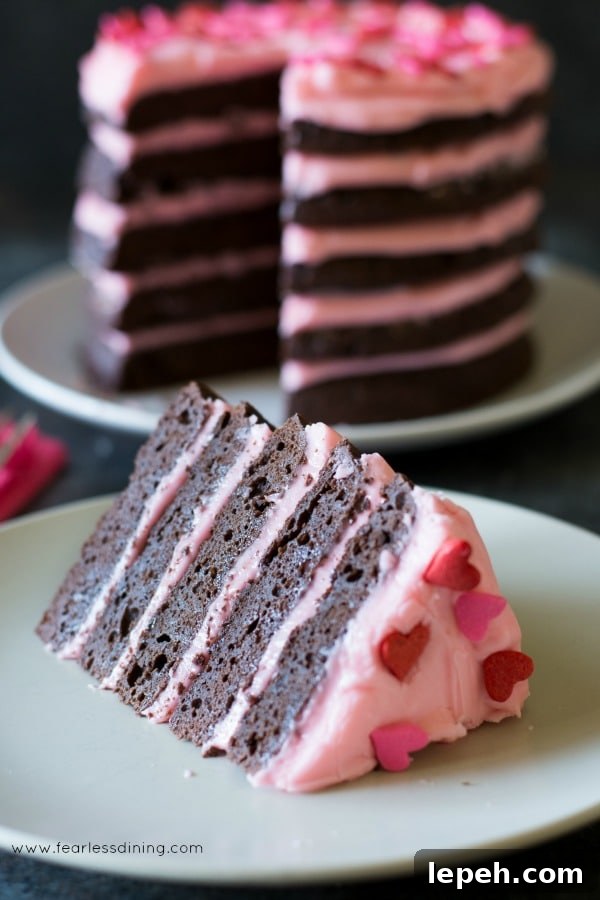 A photo of the gluten-free chocolate cake from 2017 when I first created this cake recipe.
