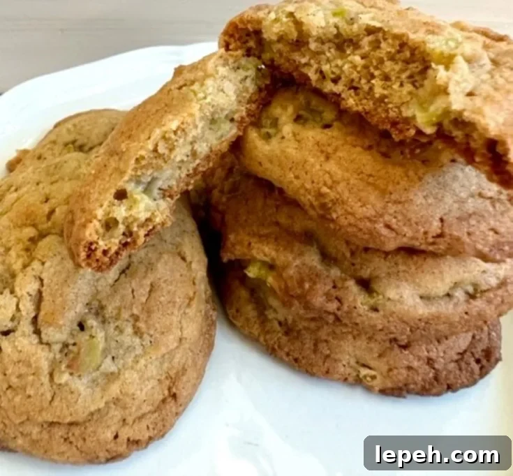 SQUARE RHUBARB COOKIE FEATURE IMAGE