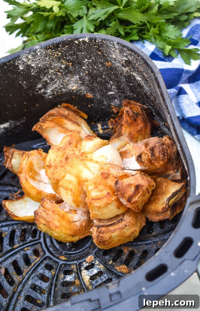 an air fried bloomin' onion in the basket of an air fryer