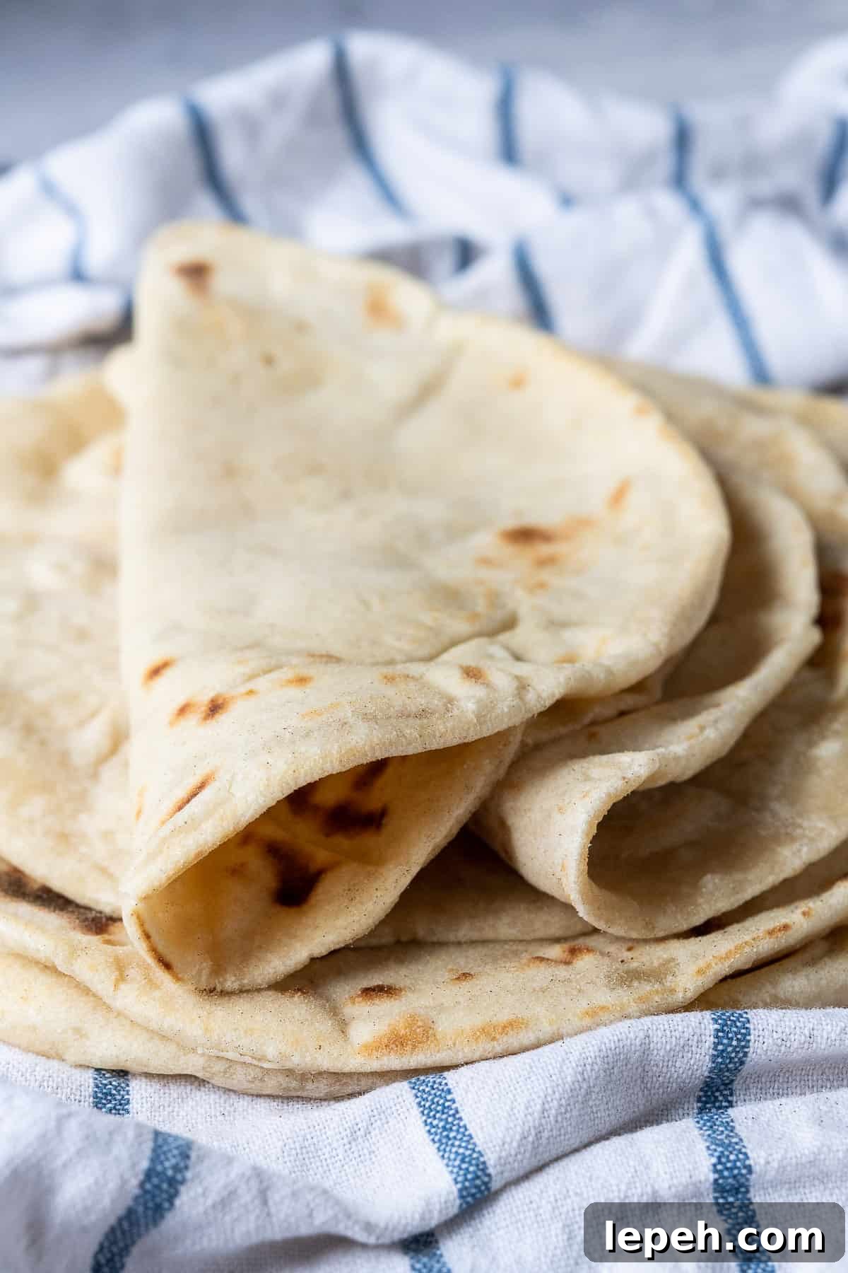 Close up of a folded flatbread.
