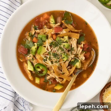 Close up of Mexican chicken soup in a white bowl.