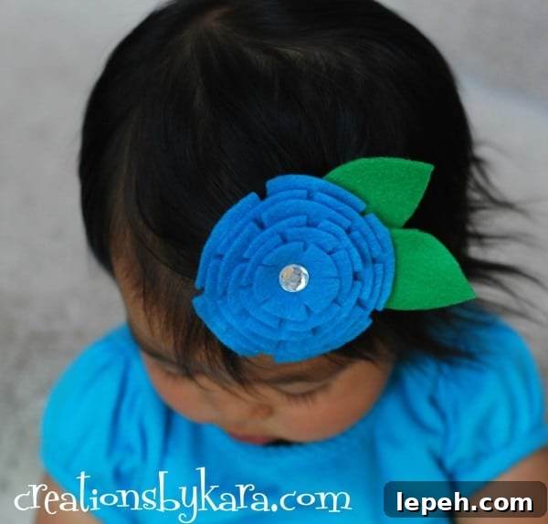 hair clip