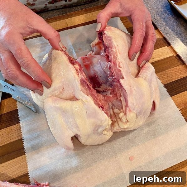 Opening up the chicken for spatchcocking