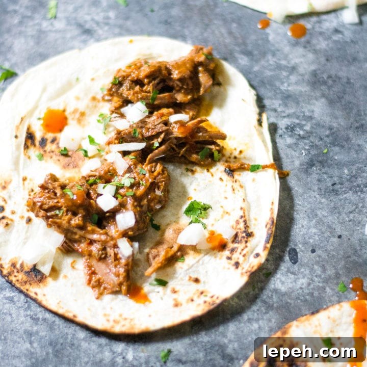 slow cooker barbacoa taco | sarcastic cooking