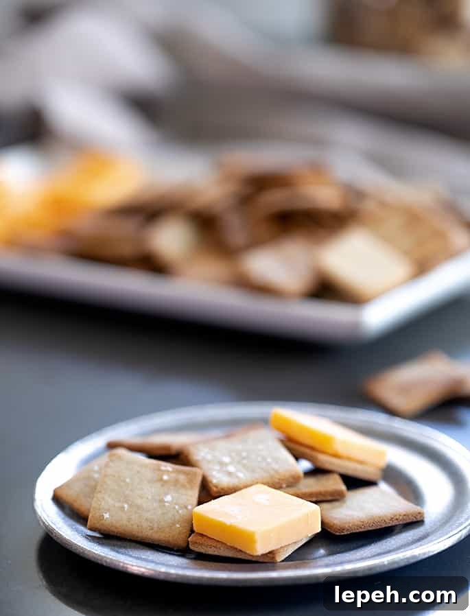 A small plate with gluten free wheat thins style crackers and cheese