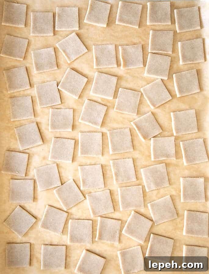 Overhead image of raw gluten free wheat thins style crackers
