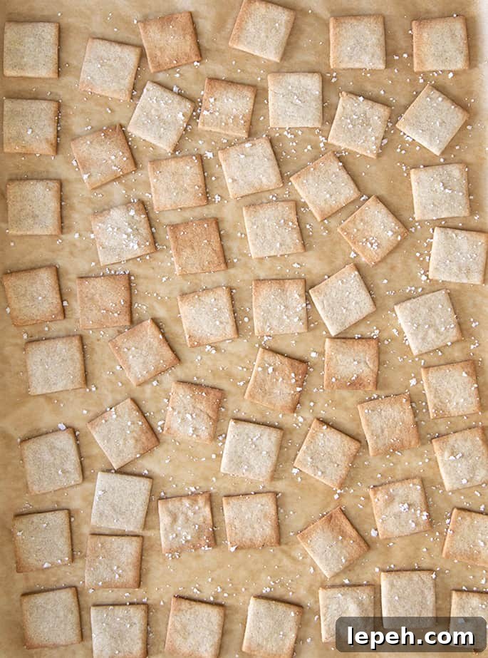 Overhead image of baked gluten free wheat thins style crackers