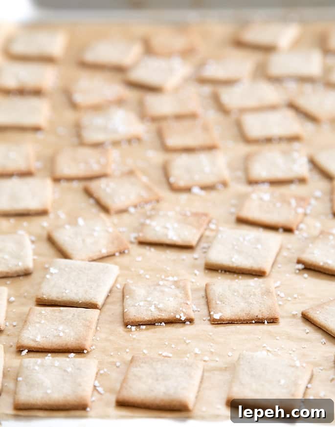 A side angle image of baked gluten free wheat thins style crackers