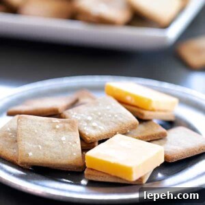 gluten free wheat thins crackers