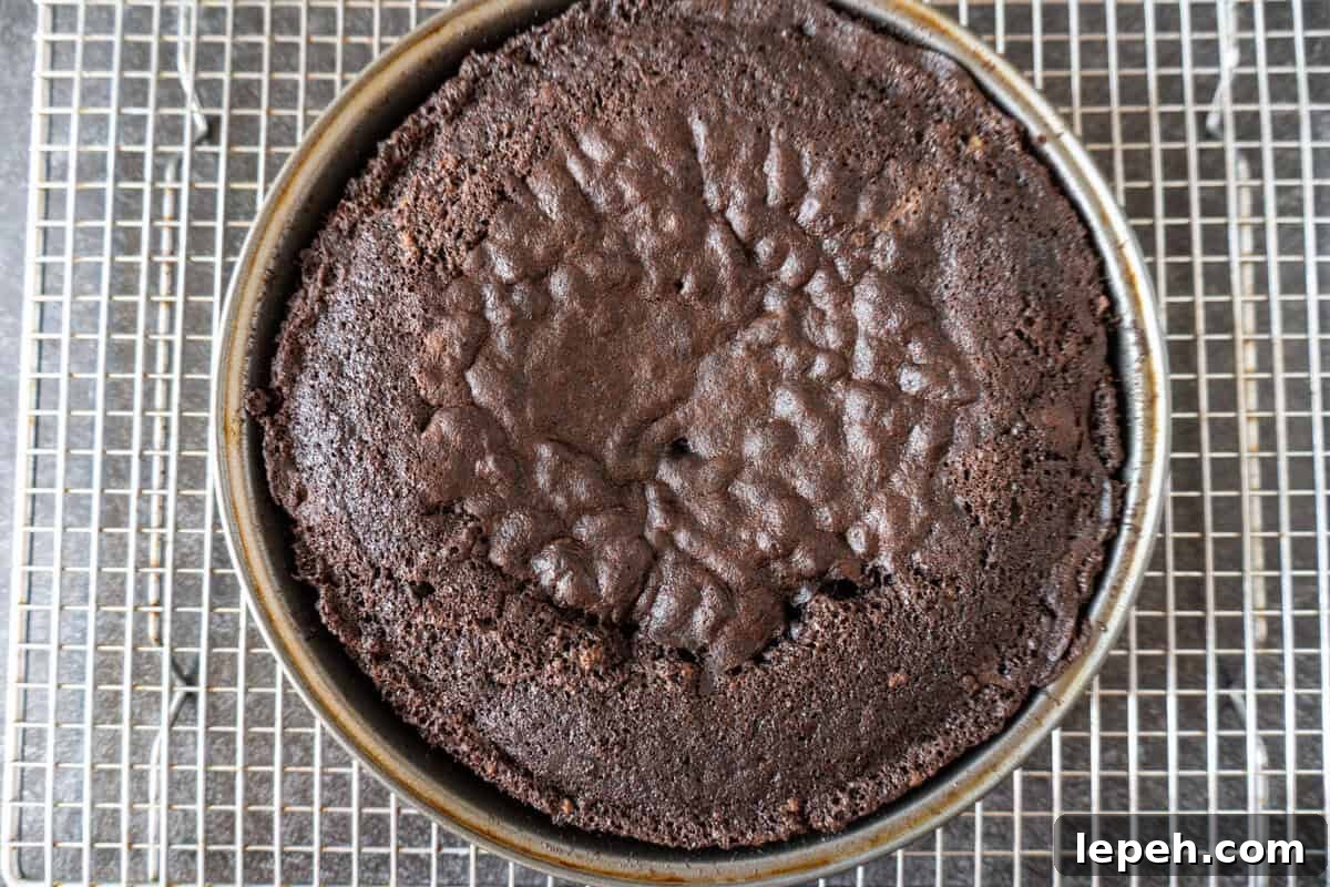 chocolate cake baked in a metal cake pan with a sunken center.