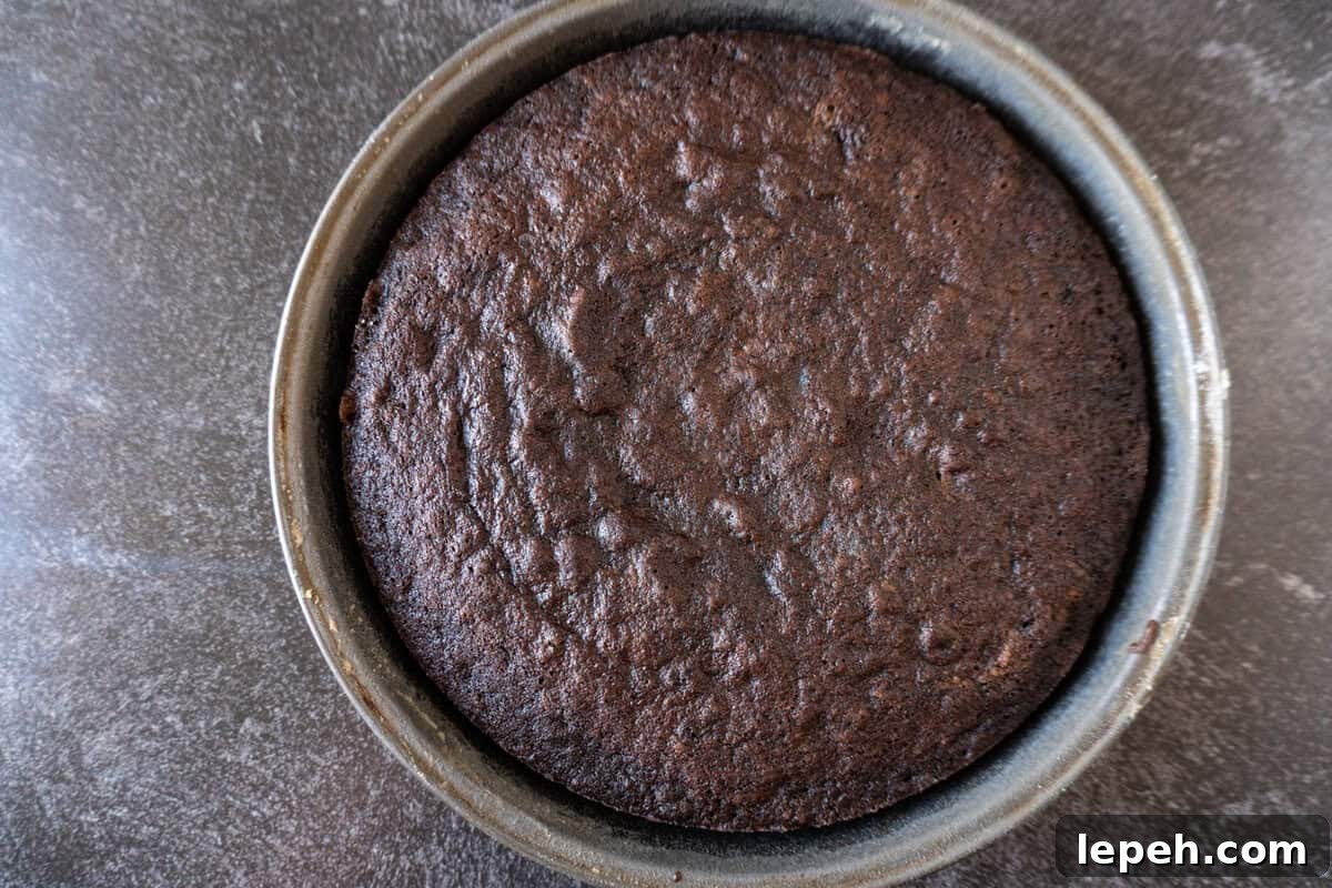 chocolate cake baked in round metal cake pan.