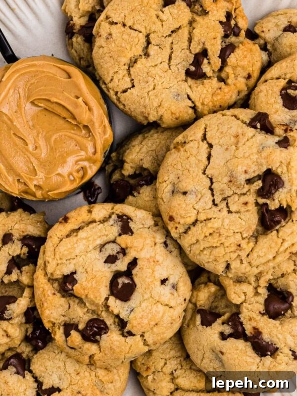 Peanut butter chocolate chip cookies on a white plate with a scoop of peanut butter next the cookies.