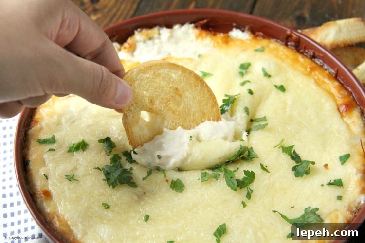 cheesy Chicken Alfredo Dip with crostini