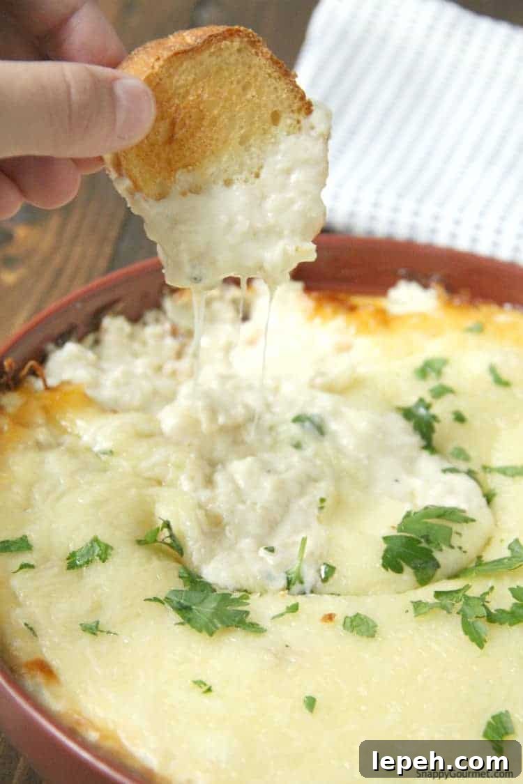 cheesy Chicken Alfredo Dip in baking dish with crostini