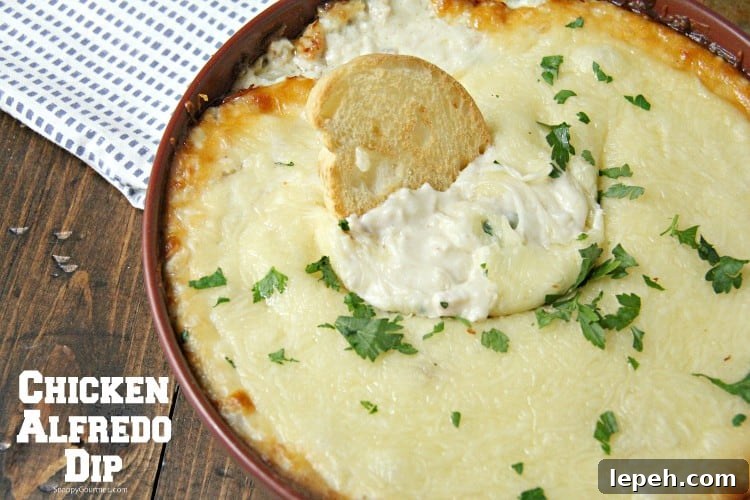 homemade Chicken Alfredo Dip with crostini