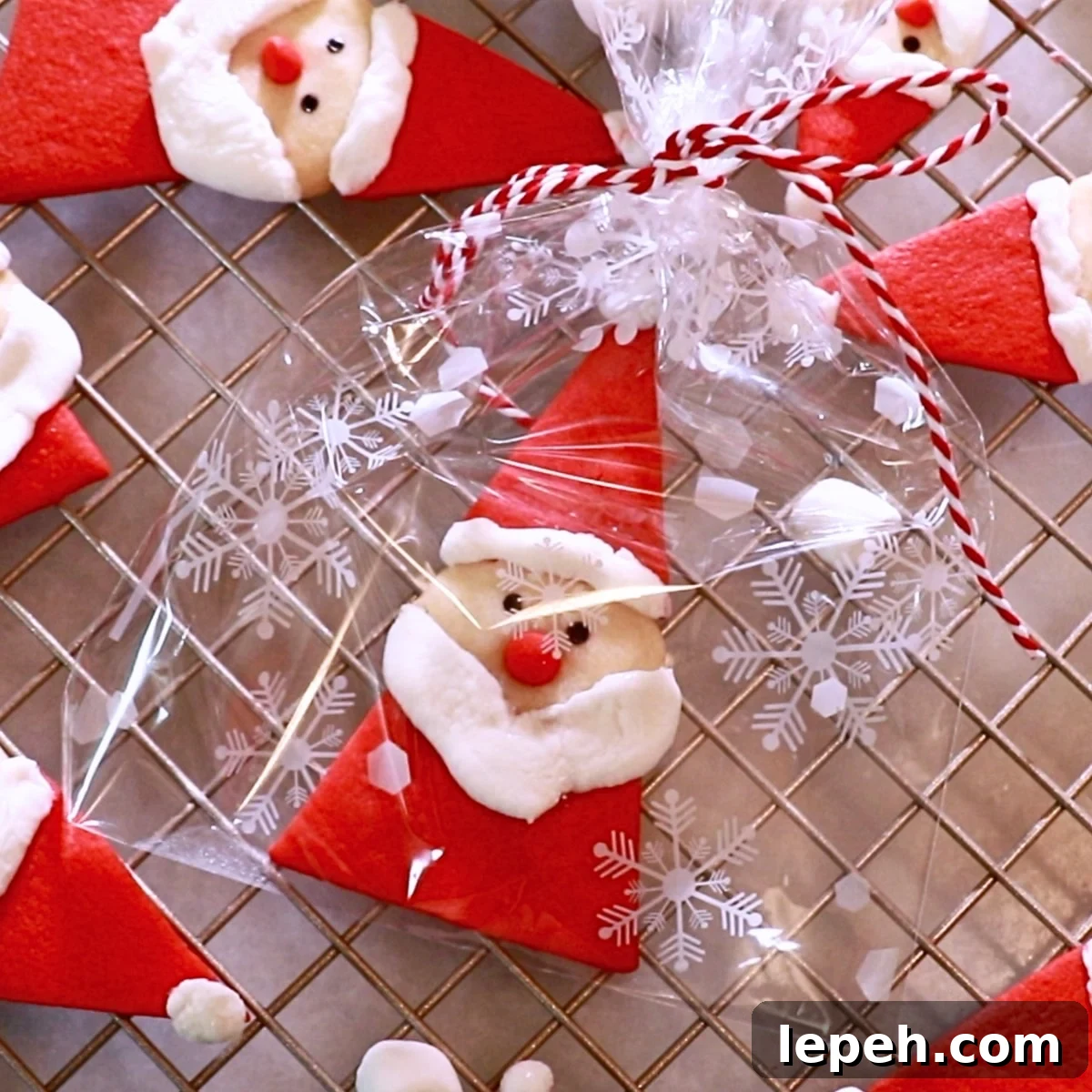 Santa cookies close up