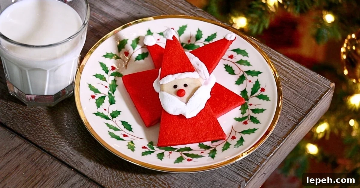 Santa cookie detail