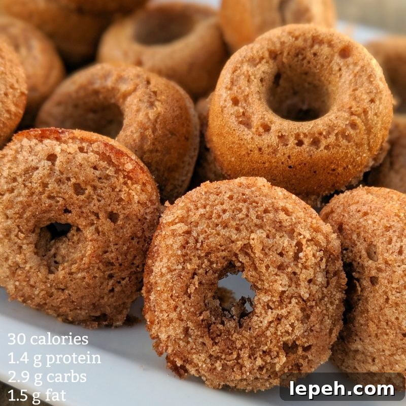 19. Mini Cinnamon Protein Donuts