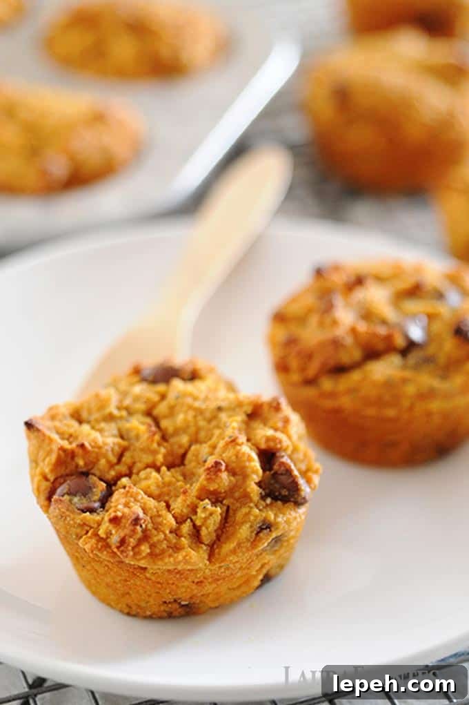 22. Pumpkin Protein Muffins with Chocolate Chips