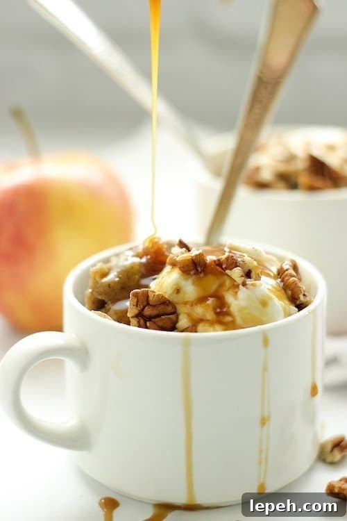 23. Apple Spice Protein Mug Cake