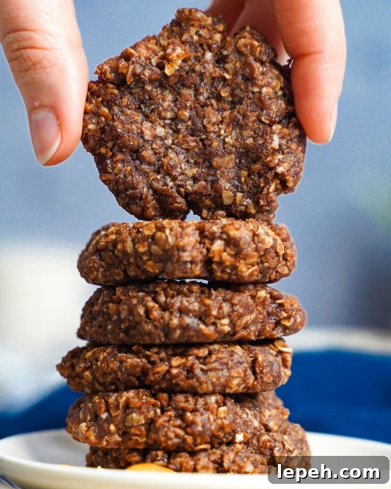 No-Bake Protein Cookies