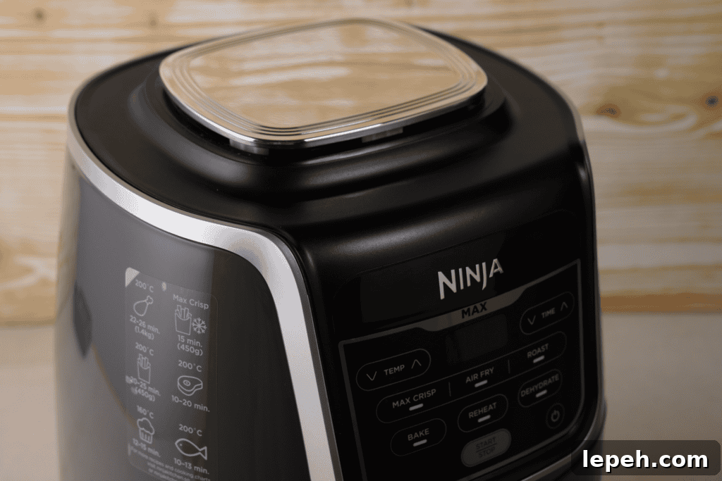 air fryer ninja