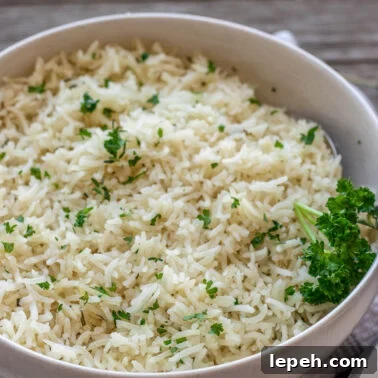 Square image of garlic rice.