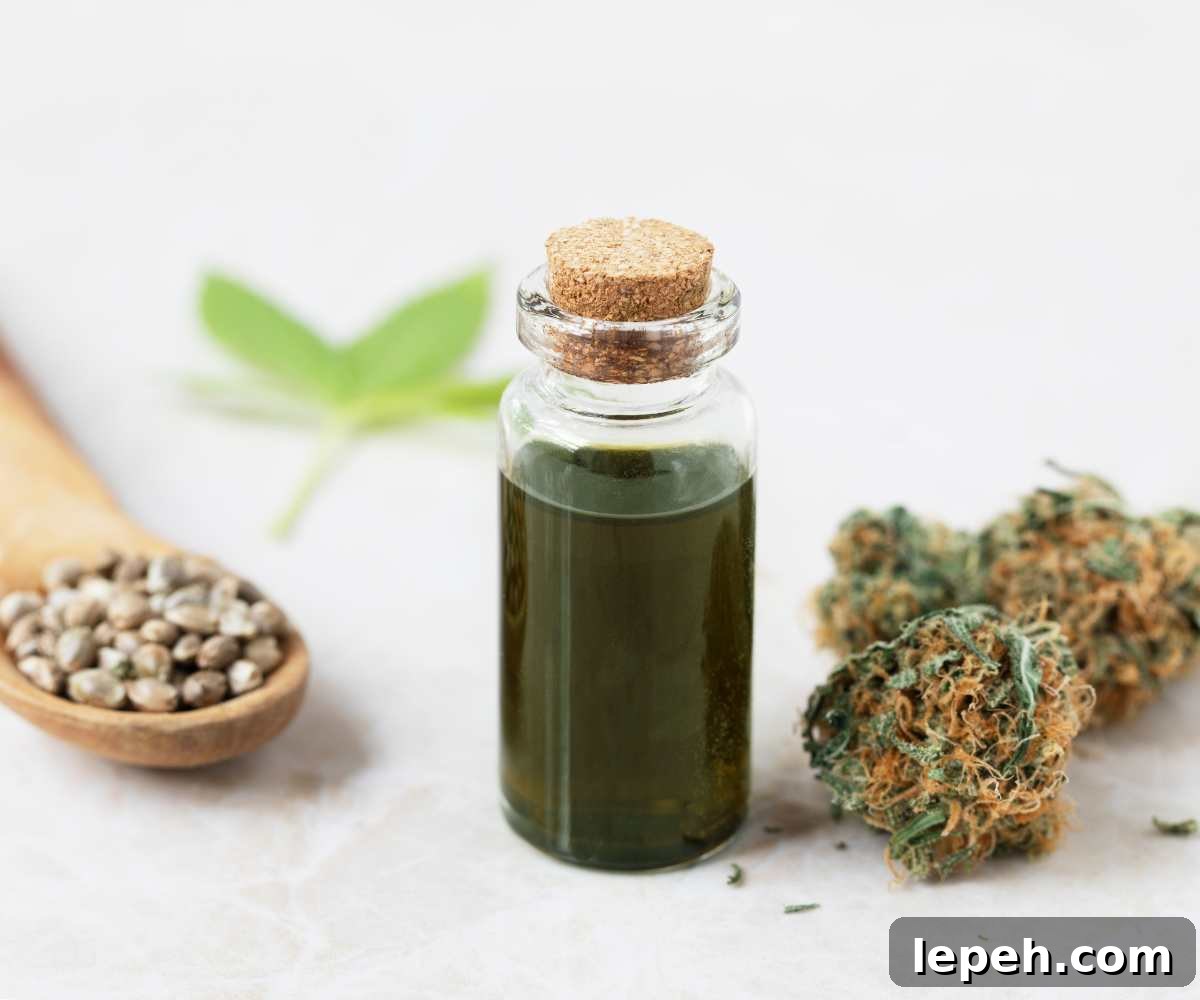 Featured image hemp vs CBD oil