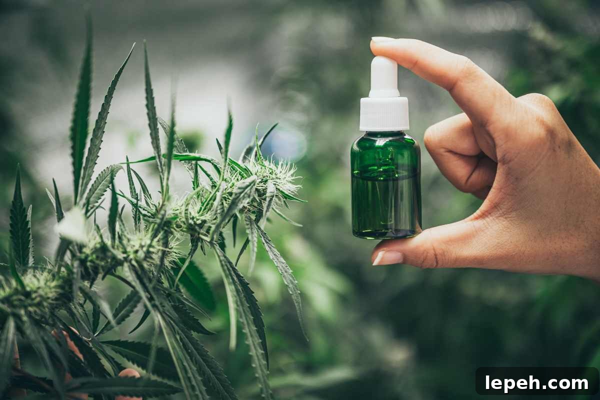 Picture showing CBD oil in a bottle made out of plant leaves, flowers and stem.